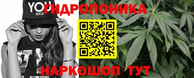 шишки Славгород