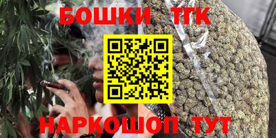 шишки Славгород
