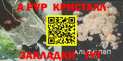 шишки Славгород