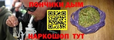 шишки Славгород