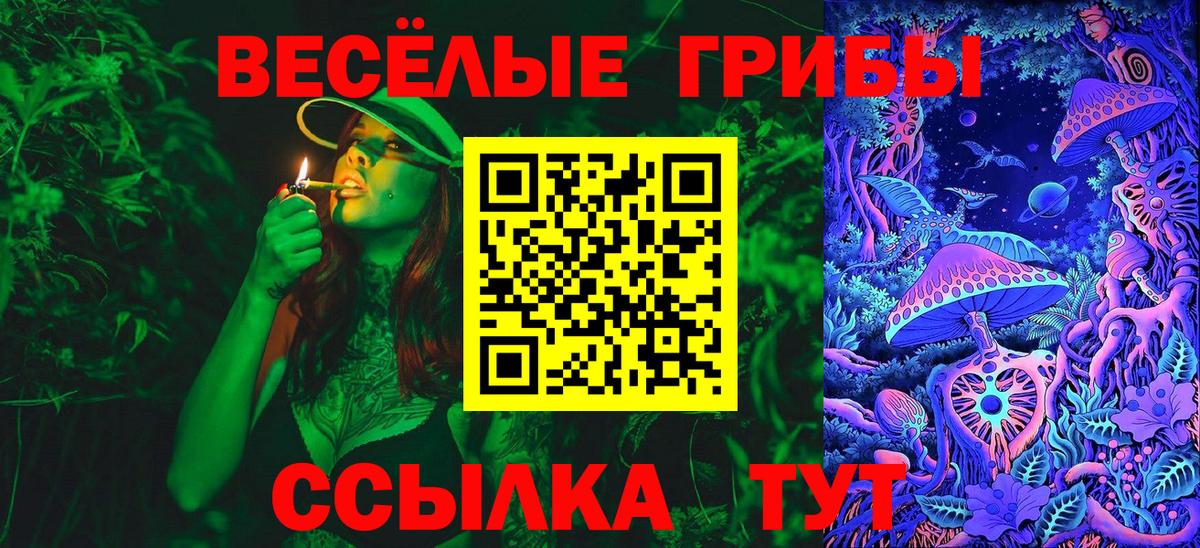 Псилоцибиновые грибы мухоморы Батайск